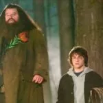 Ator que viveu Hagrid em ‘Harry Potter’, morre aos 72 anos