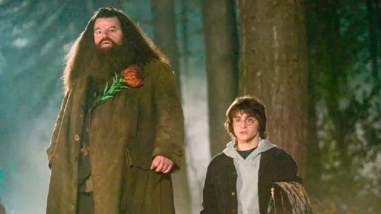 Ator que viveu Hagrid em ‘Harry Potter’, morre aos 72 anos