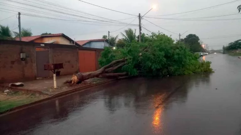 Em Corumbá, Corpo de Bombeiros recebeu sete solicitações por queda de árvores