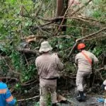 Temporal em Corumbá: Corpo de Bombeiros recebeu 86 chamadas