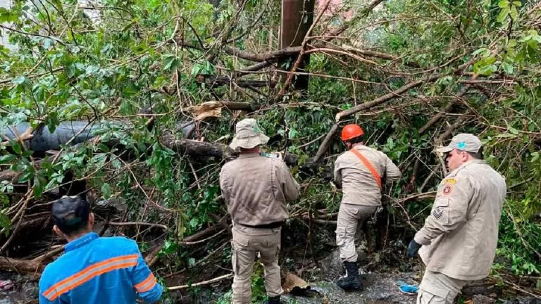 Temporal em Corumbá: Corpo de Bombeiros recebeu 86 chamadas