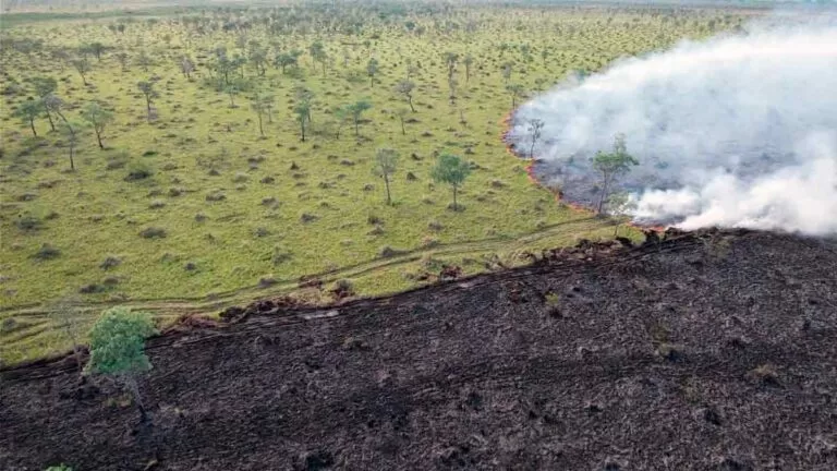 Focos de incêndios reduzem mais de 40% no Pantanal