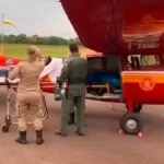 Ao fugir de porcos-do-mato, trabalhador rural é atingido por tiro na nuca no Pantanal