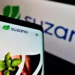 Suzano está com inscrições abertas para programa de estágios 2023