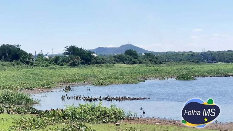 Terça-feira com predomínio de sol, pancadas de chuva e temperaturas de até 37°C em MS