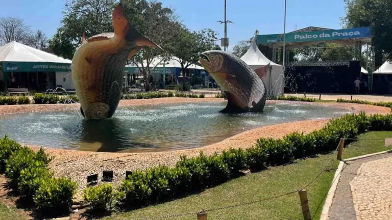 tremor de terra Bonito