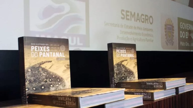 Com 386 espécies, livro promete ser referência para o mundo em peixes do Pantanal