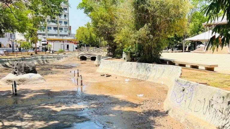 Vereador cobra medidas urgentes para limpeza no Jardim da Independência