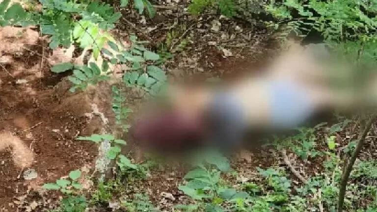 Mulher morre ao cair de penhasco em fazenda no interior de MS