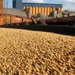 Produtos do agronegócio responderam por 90% das exportações de MS