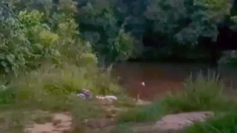 Criança de 9 anos morre afogada em córrego ao passar o dia com a família em MS