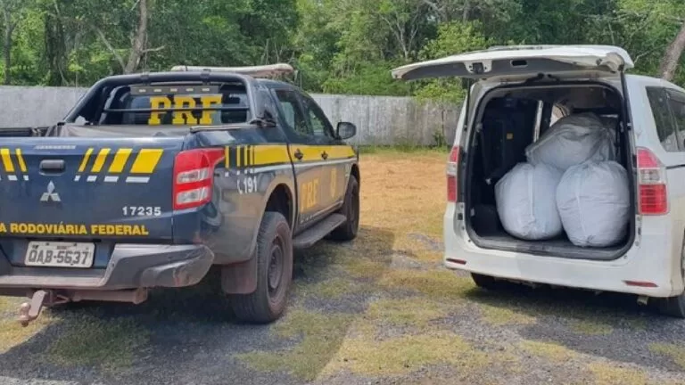 PRF apreende carregamento com 115 quilos de folha de coca em Corumbá