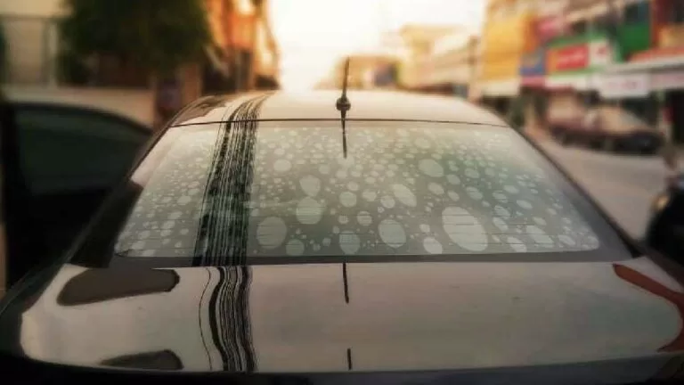 Nova Lei do Insulfilm: bolhas podem gerar multa e pontos na CNH