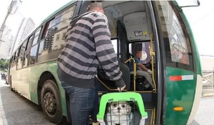 Você está visualizando atualmente Agência orienta passageiros sobre transporte de pets em ônibus intermunicipal em MS