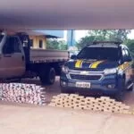 PRF apreende 163 Kg de cocaína na BR-262