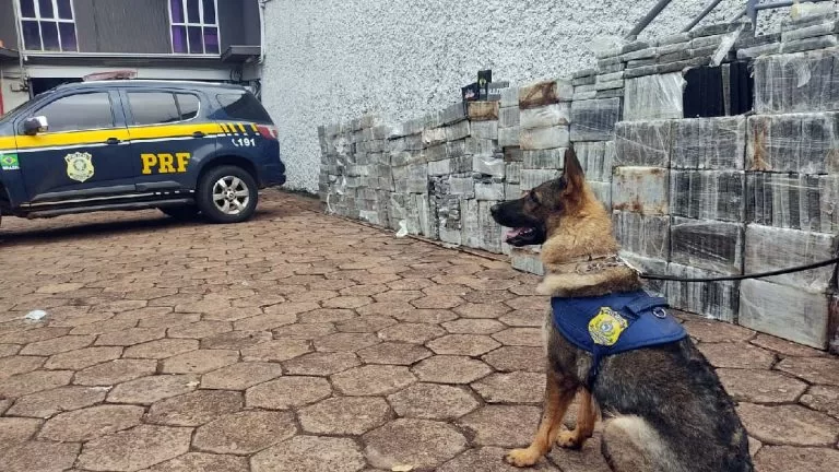 PRF apreende mais de 1,8 tonelada de cocaína na BR-060; maior apreensão da história em MS