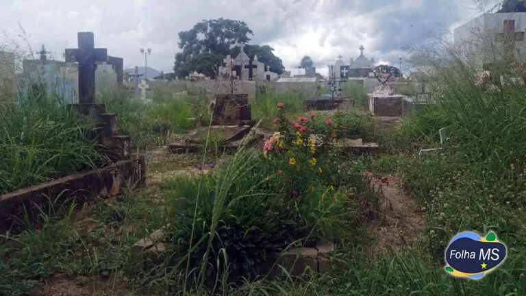 Nem cemitério escapa de abandono e mato encobre túmulos no centro de Corumbá