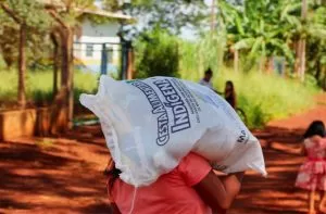 Leia mais sobre o artigo Governo estuda melhorias em cestas alimentares entregues aos indígenas de MS