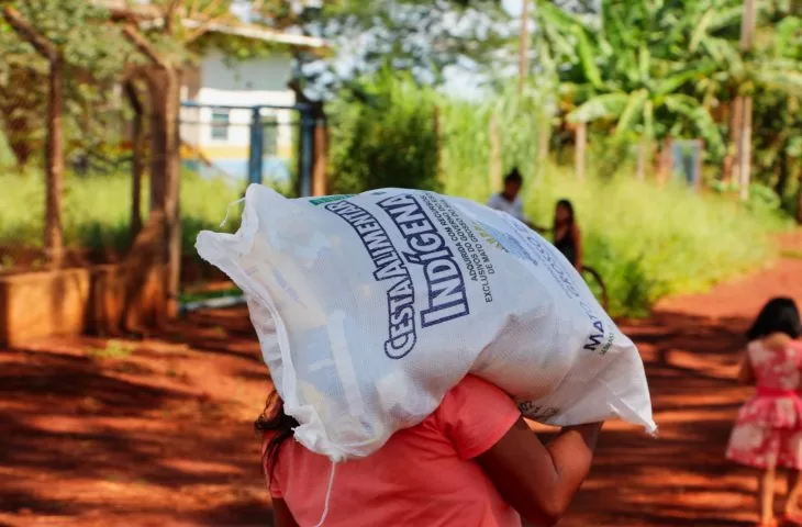Leia mais sobre o artigo Governo estuda melhorias em cestas alimentares entregues aos indígenas de MS