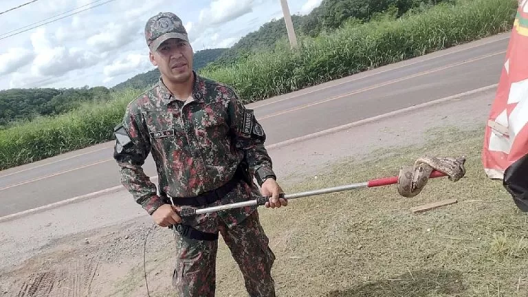No intervalo de duas horas, PMA realiza captura de duas serpentes em Corumbá
