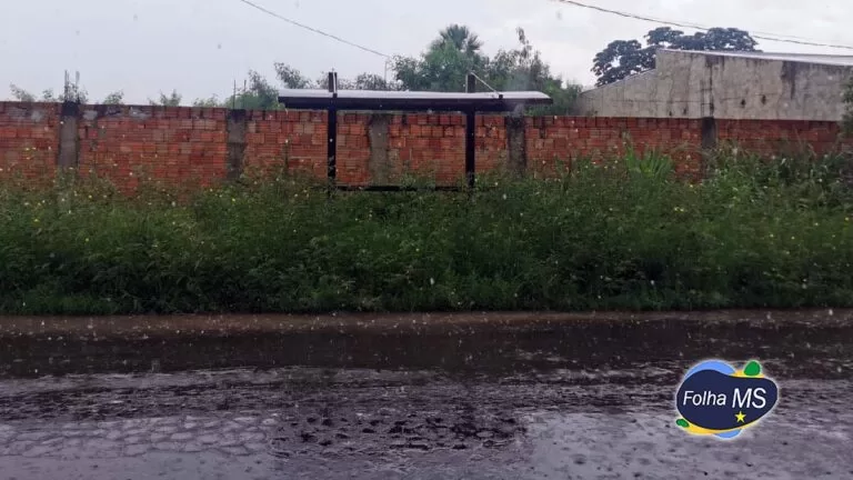 Mato alto e sujeira toma conta de terrenos, pontos de ônibus e revolta população em Corumbá