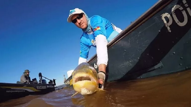 Mato Grosso do Sul abre temporada da pesca esportiva na modalidade pesque e solte
