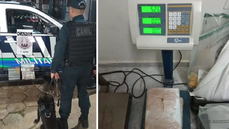 Com auxilio de cão farejador PM apreende entorpecente no banheiro da rodoviária