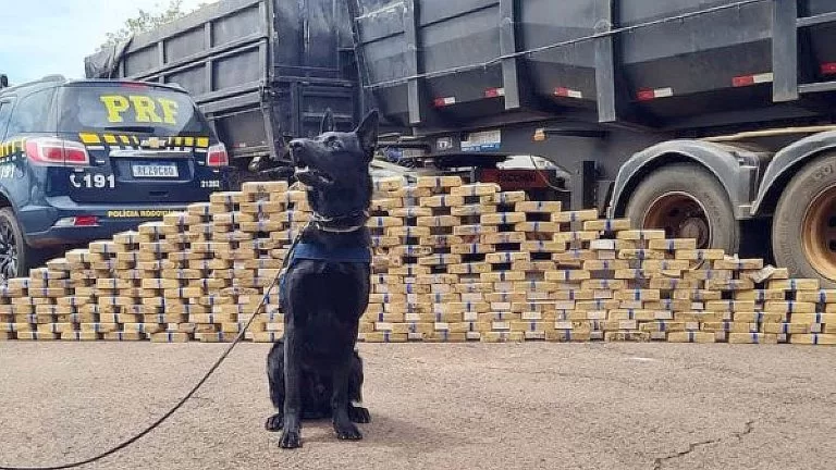PRF aprende em MS carregamento de cocaína avaliada em mais de R$ 25 milhões