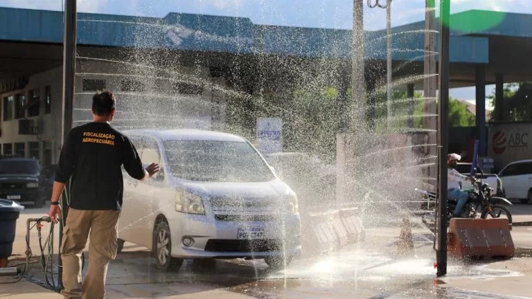 Reforço de medidas sanitárias garante segurança para produção aviária em MS