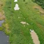 Vereador reivindica remoção de vegetação aquática para desobstruir acesso à Baia do Castelo