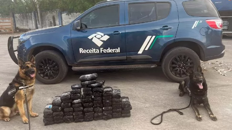 Com tecnologia e cães farejadores, Receita Federal apreende 70 Kg de drogas em Corumbá
