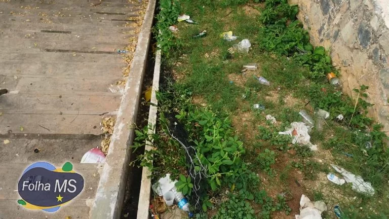 Abandonada e cheia de lixo escadinha da XV se transforma em criadouro do mosquito da dengue