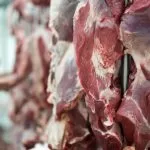 Retirada da vacina antiaftosa no rebanho habilita MS a exportar carne ao México