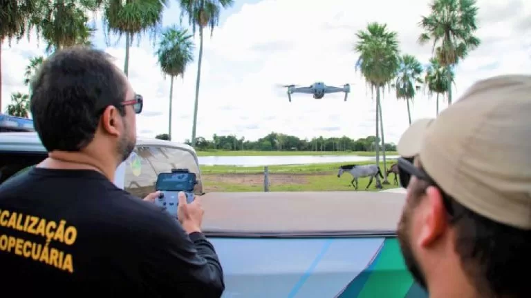 Ofensiva contra gripe aviária vai além da fronteira e mira até fluxo de migração de aves