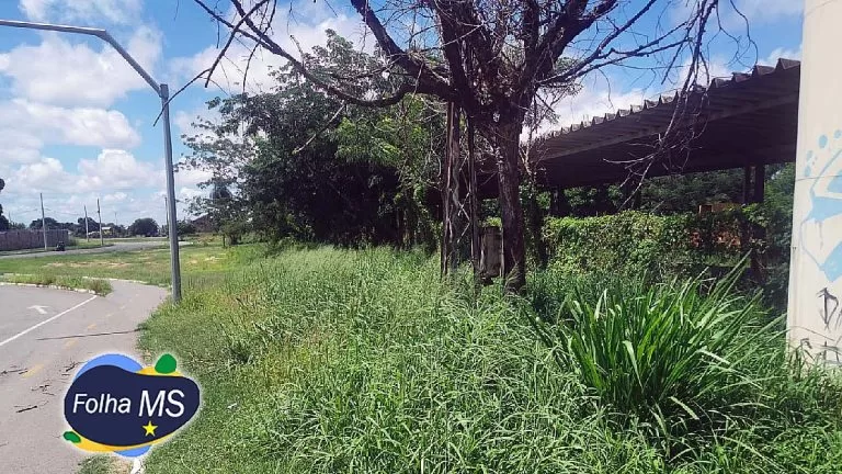 Vereador solicita informações sobre limpeza na Orla dos Ipês e notificação à empresa Rumo