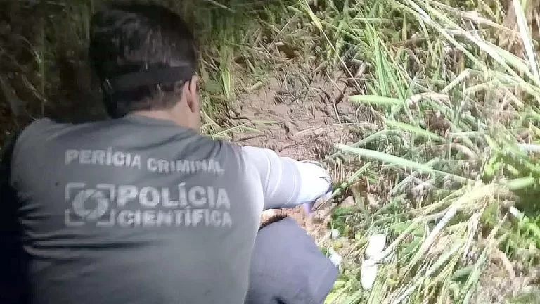 Bebê de sete meses é morta e enterrada pelos próprios pais no interior de São Paulo