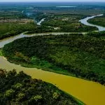 Projeto de Lei visa proteger o Pantanal de expansão da monocultura em Mato Grosso do Sul