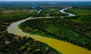 Leia mais sobre o artigo Projeto quer acrescentar “O Estado do Pantanal” em identificação visual do Governo de MS