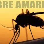 Saúde alerta para vigilância e imunização contra febre amarela