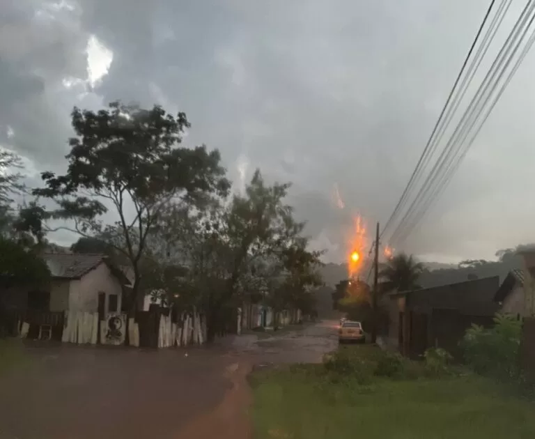 PF prende homem solto pela justiça que havia sido preso com 271 kg de cocaína