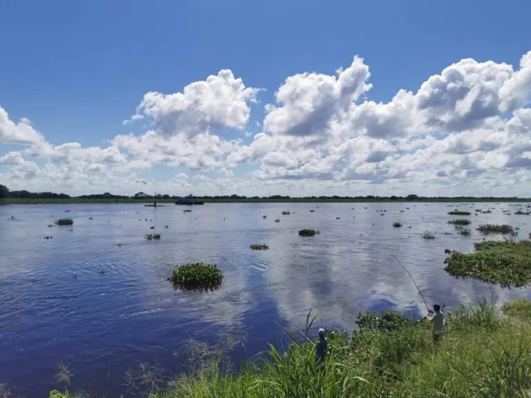 Terça-feira de sol com variação de nebulosidade em MS