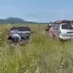 Vereadora solicita reabertura de estrada tomada pelo mato em Forte Coimbra