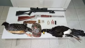 Leia mais sobre o artigo Caçador paulista é preso e autuado em flagrante por caça ilegal de aves em MS