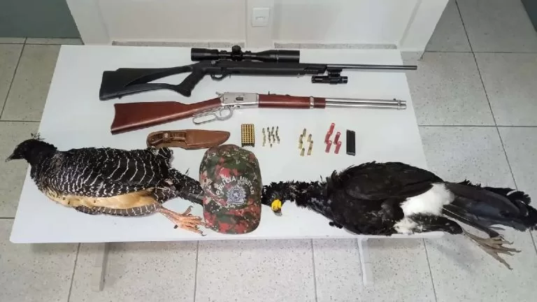 Caçador paulista é preso e autuado em flagrante por caça ilegal de aves em MS
