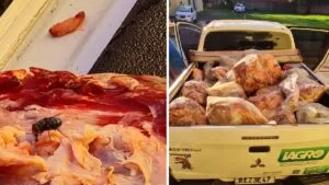 Leia mais sobre o artigo Operação apreende quase uma tonelada de carne imprópria em Porto Murtinho