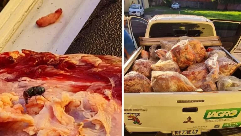 Operação apreende quase uma tonelada de carne imprópria em Porto Murtinho