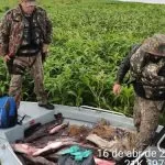 Polícia Militar Ambiental inicia Operação Semana Santa para combater pesca predatória