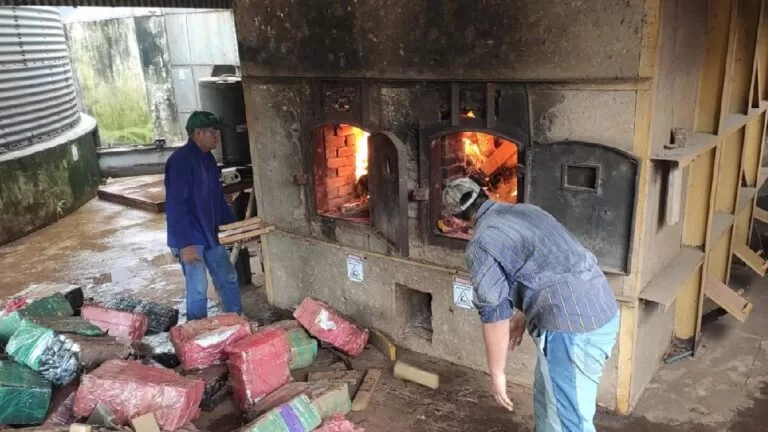 Polícia Civil destrói mais de 4,5 toneladas de drogas em Bonito