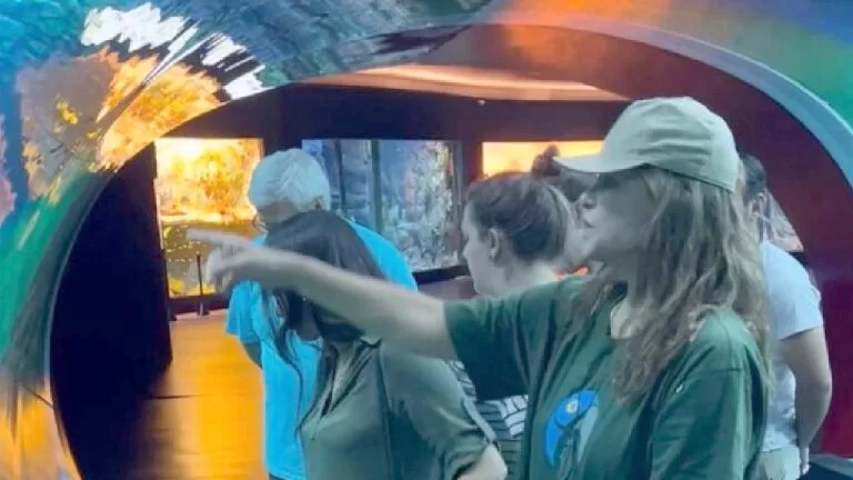 Cristiana Oliveira, que interpretou Juma na primeira versão de Pantanal, visita Bioparque