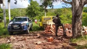 Leia mais sobre o artigo PMA flagra exploração ilegal de madeira em área de proteção ambiental em Corumbá